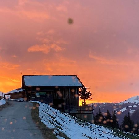 Ferienhaus Waidmannsruh Hippach Luaran gambar